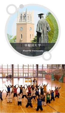 【早稲田数学会】早稲田大学、数学科、人材育成、数学オリンピック